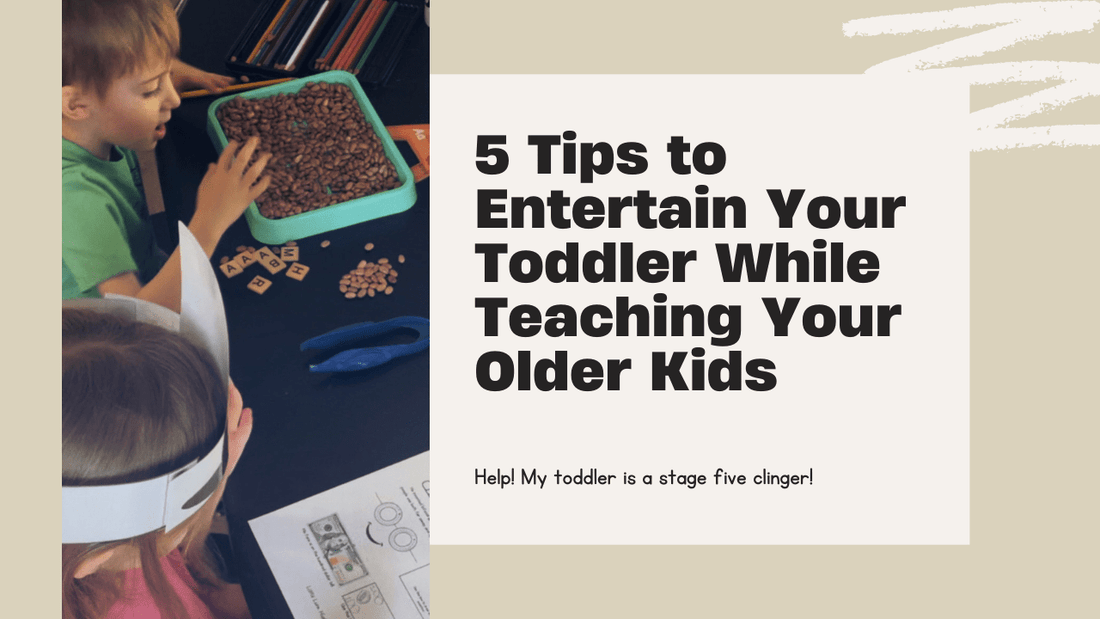 5 Tips to Entertain Your Toddler While Teaching Your Older Kids - littlelionhistory