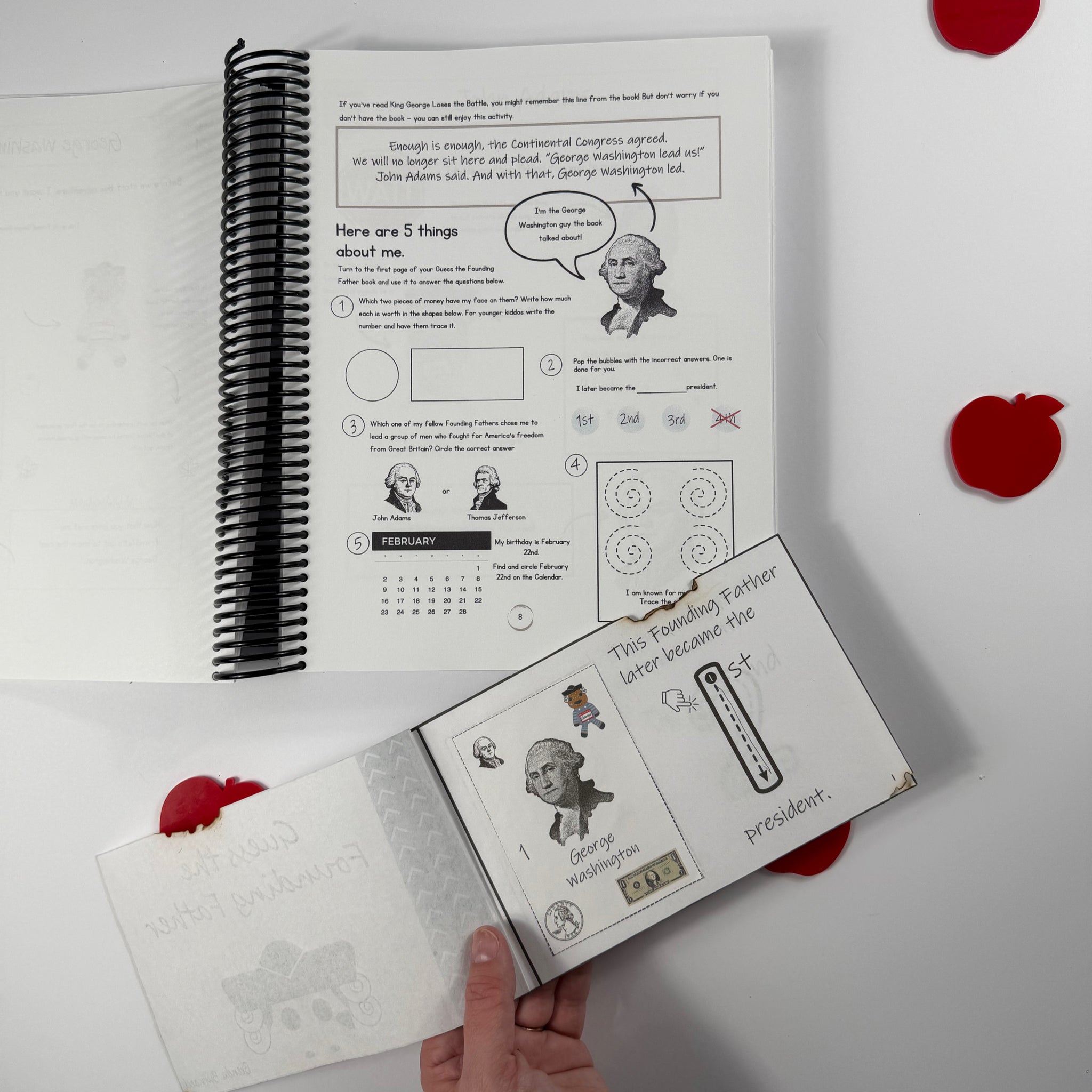 Little Lion History Starter Bundle