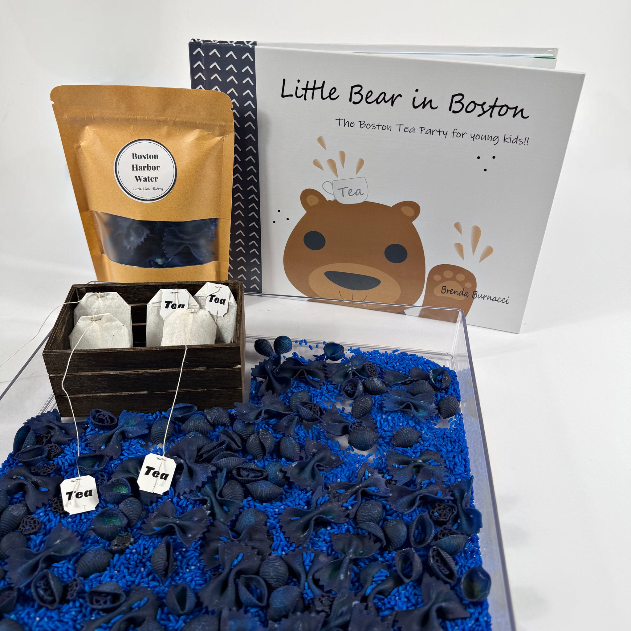 Little Bear in Boston Book & Sensory Play Kit