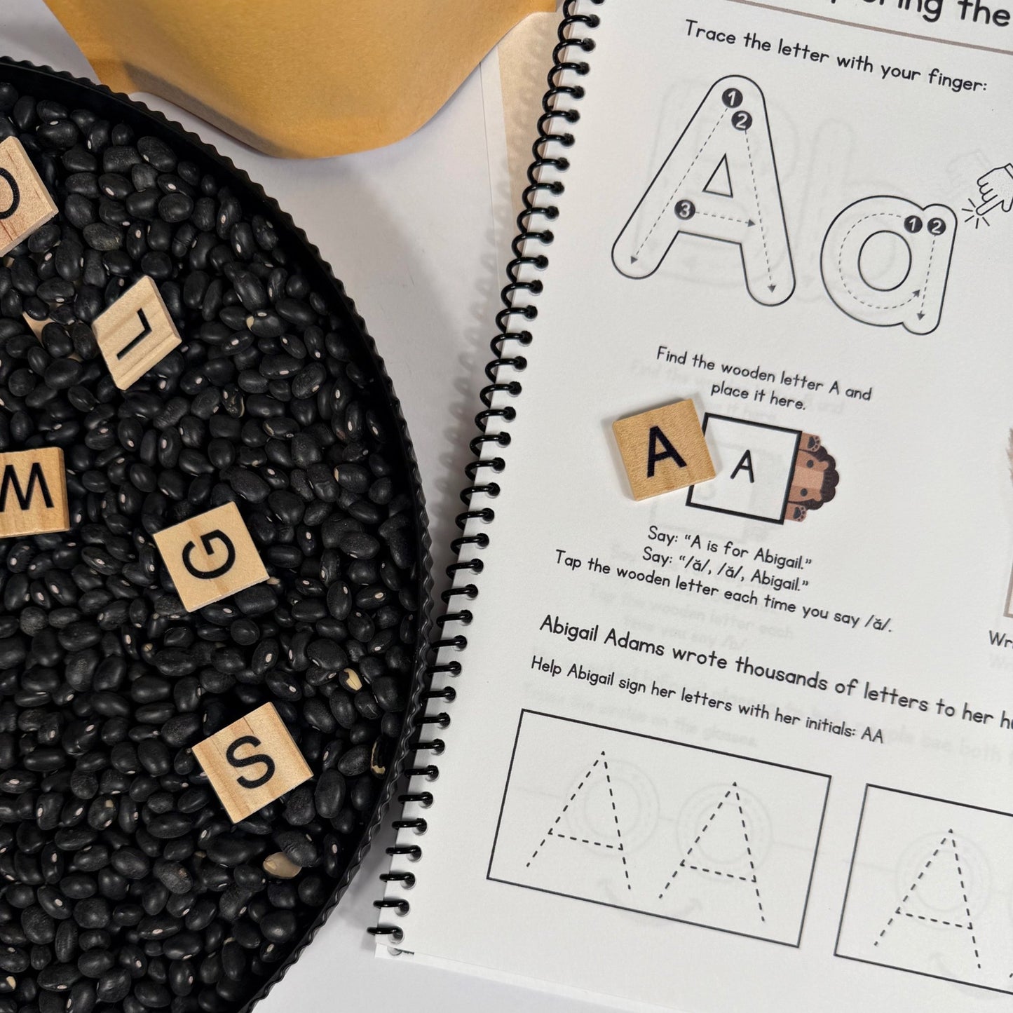 The Little Lion History Alphabet Box - littlelionhistory