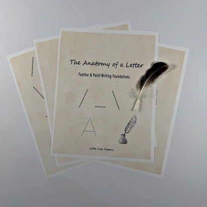 The Anatomy of a Letter PDF - littlelionhistory