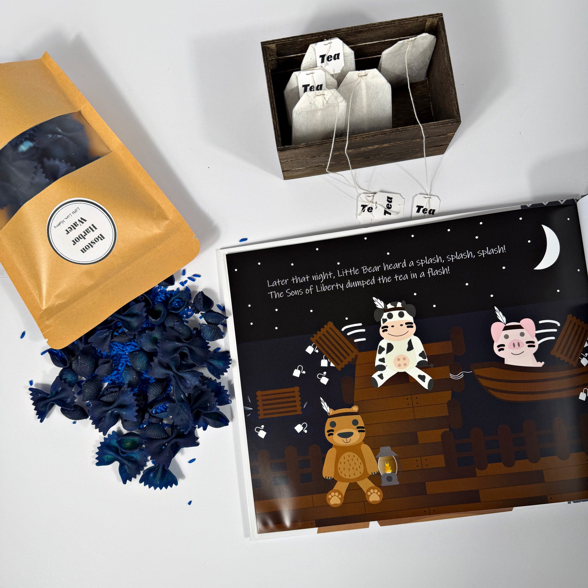 Little Bear in Boston Book & Sensory Play Kit