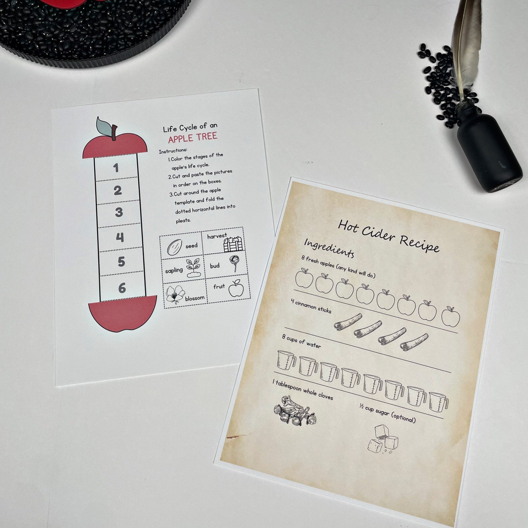 Apple Adventures: A Colonial History Activity Pack - littlelionhistory