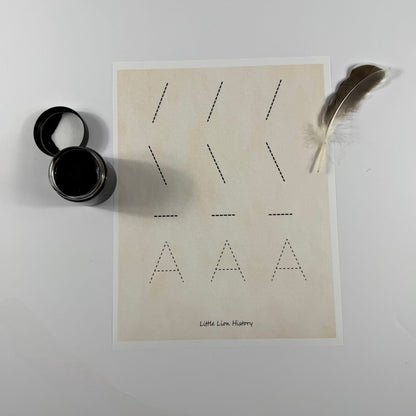 The Anatomy of a Letter PDF - littlelionhistory